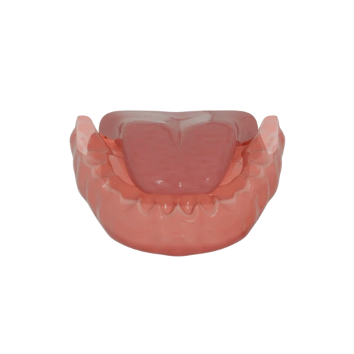 Lower jaw base