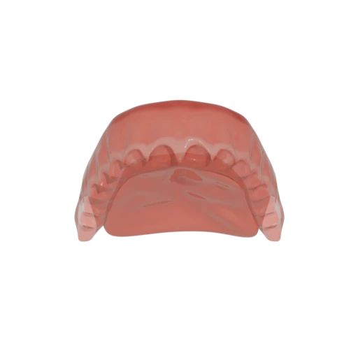 Upper jaw base